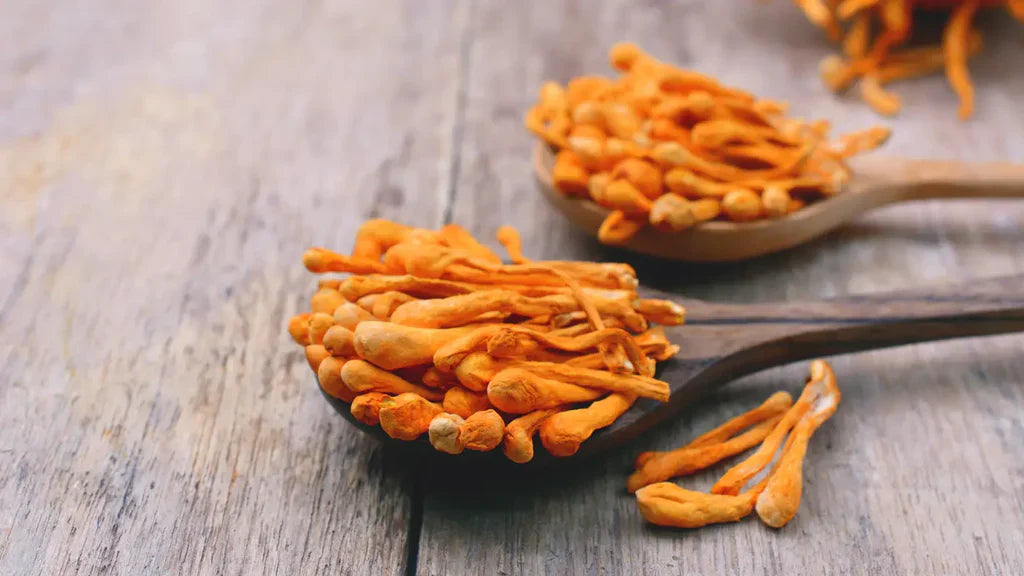 Cordyceps ciupercă: efecte, dozare, efecte secundare