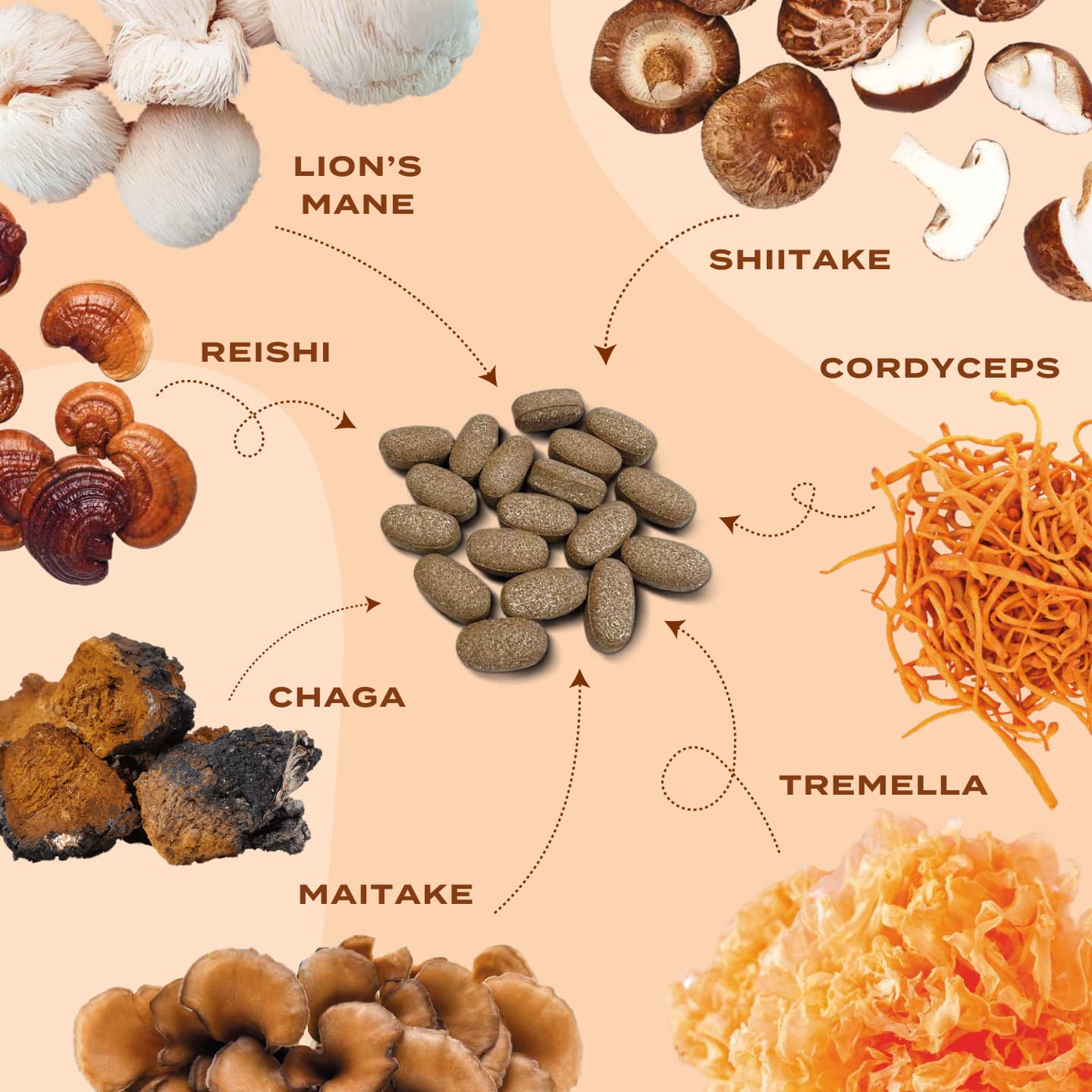 Mix ciuperci