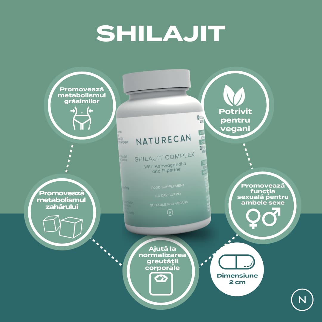 shilajit capsule