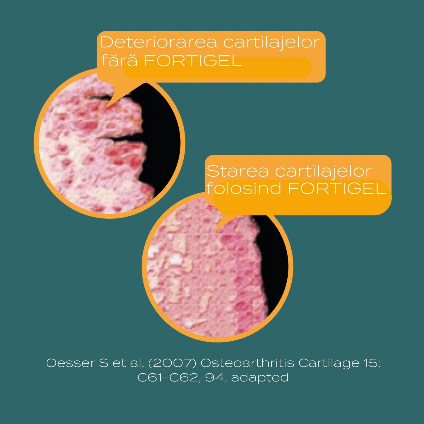 Peptide de Colagen