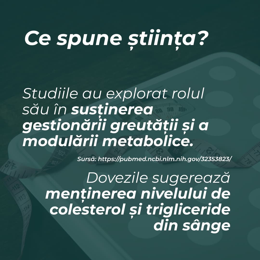 ce este berberina
