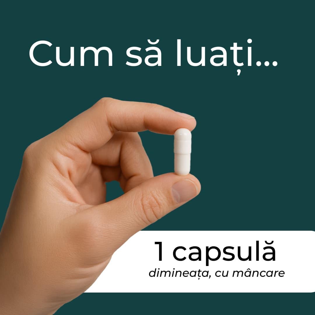 berberina ce este