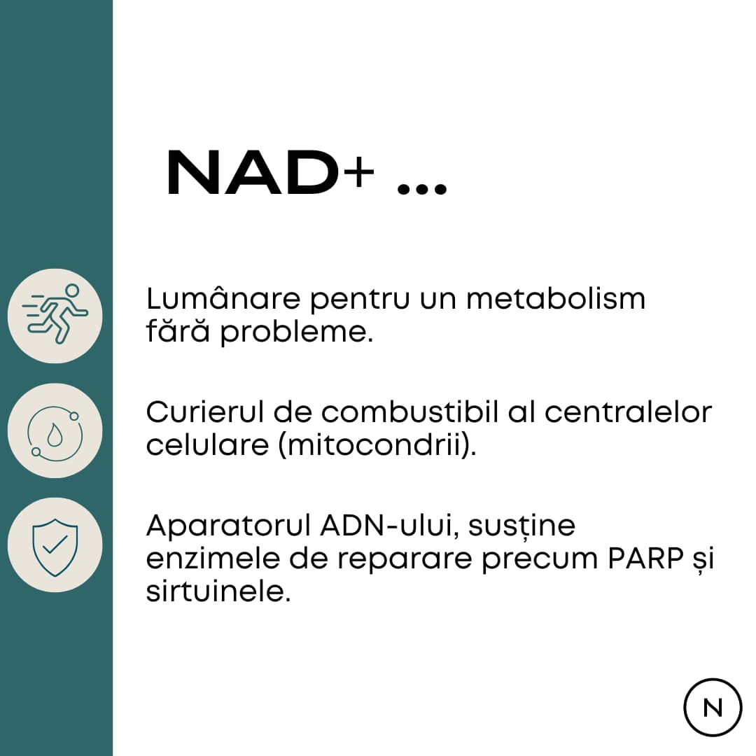 nad capsule