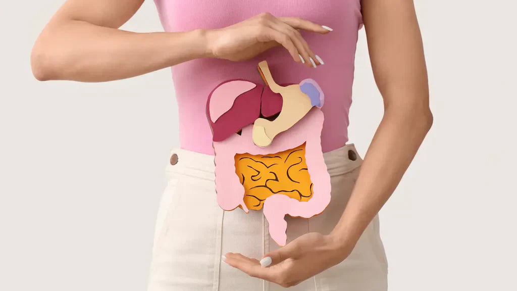 Ce sunt enzimele digestive? Pentru ce este bună DAO?