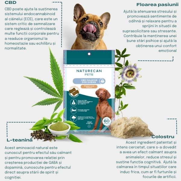 ulei de canabis pentru animale