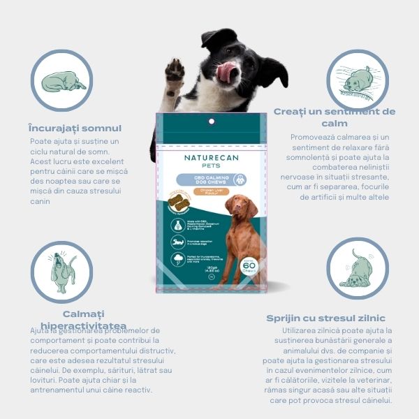 snack cbd pentru animale de companie