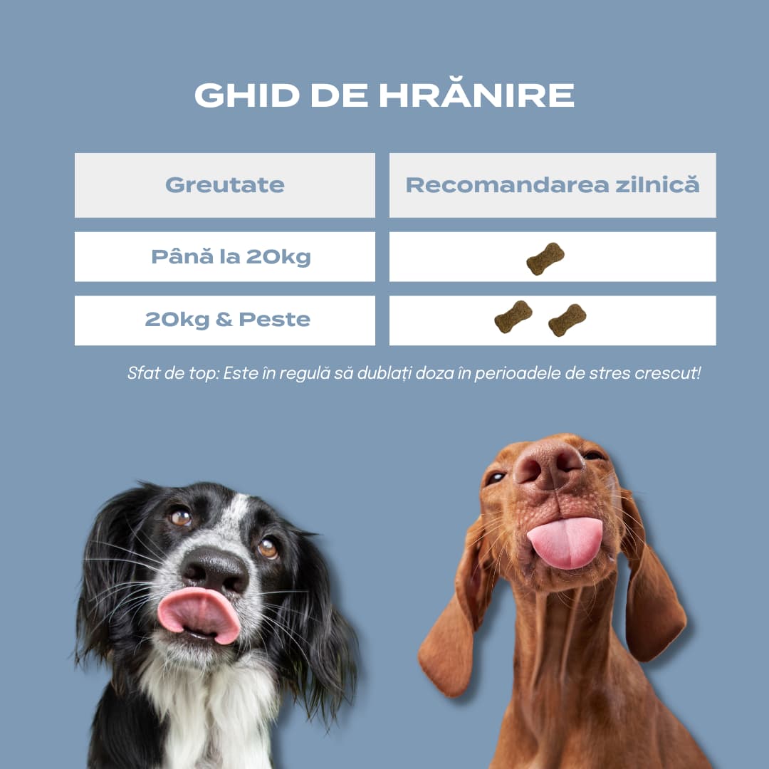 cbd animale