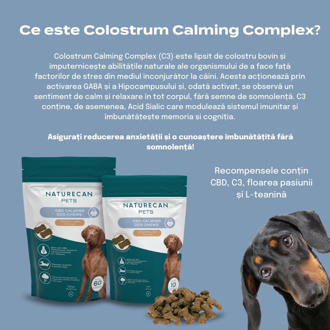 snack pentru caini