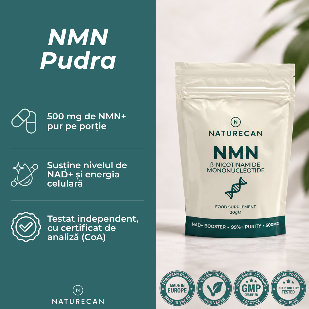 nmn pudra ce este