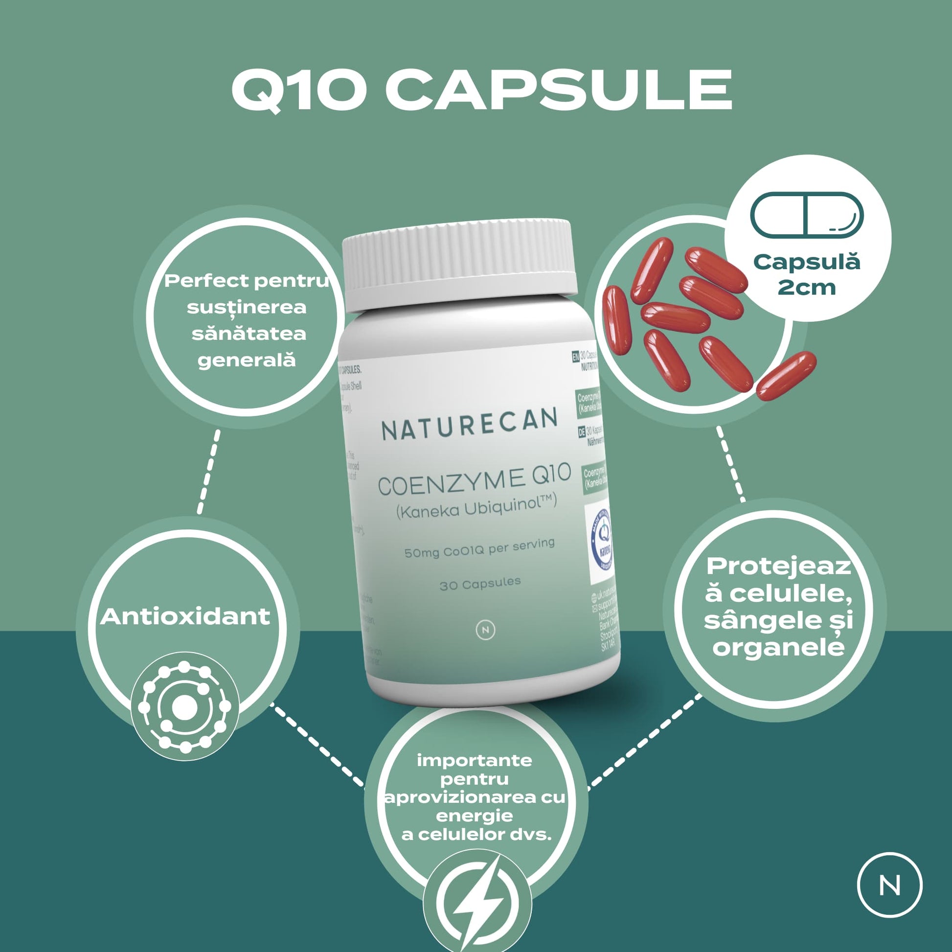 coenzima q10 capsule