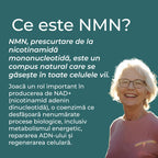 nmn ce este