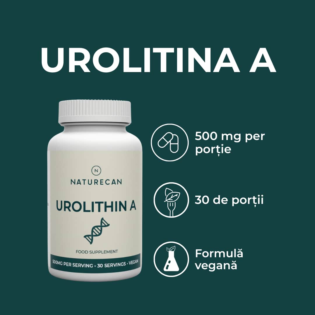 Urolithin 