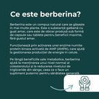 cand se ia berberina