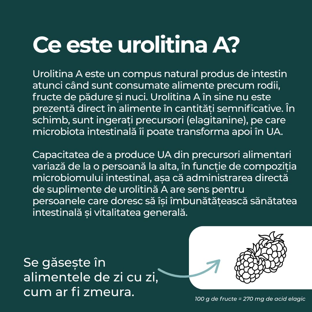 urolitina a
