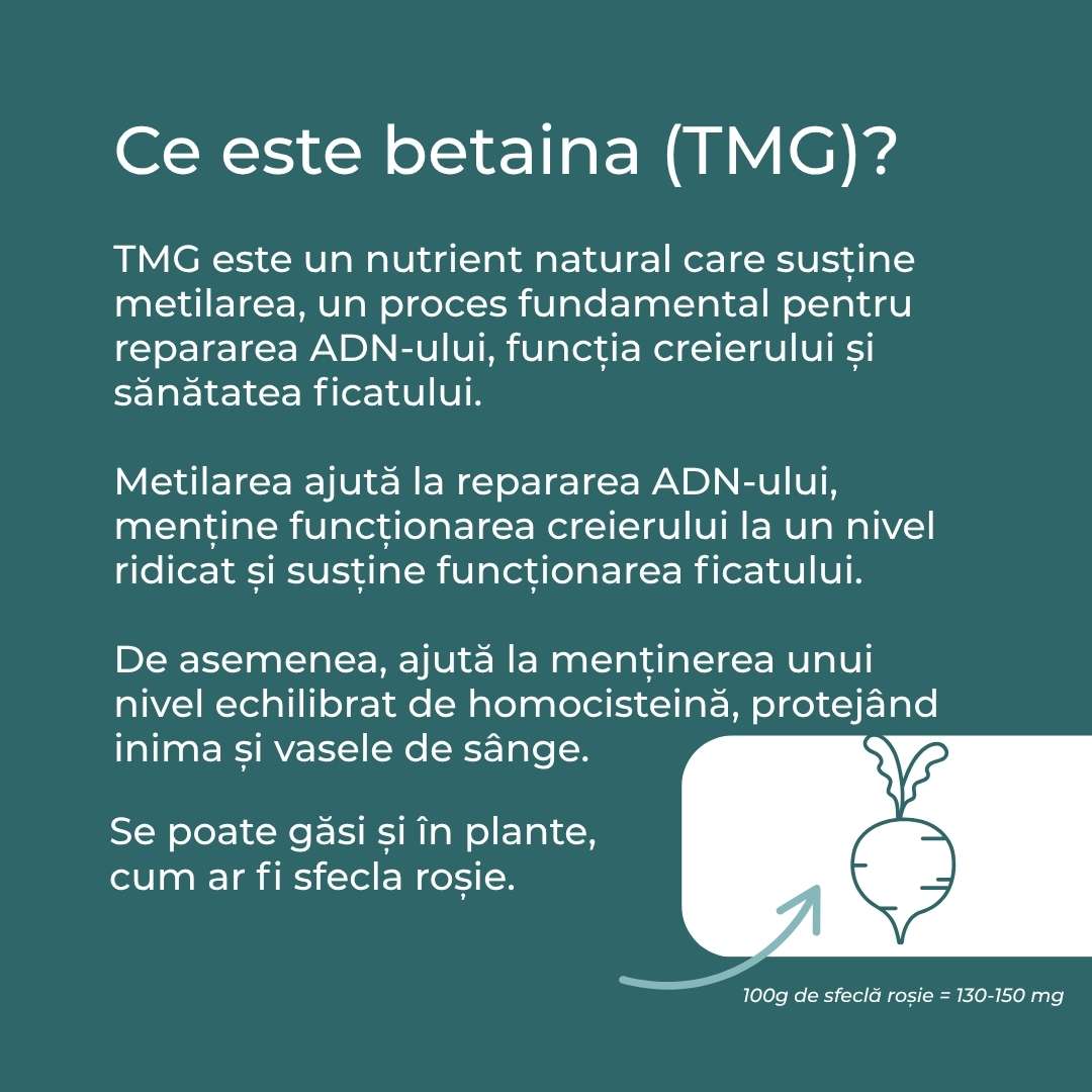 tmg ce este