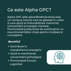 ce este alpha gpc