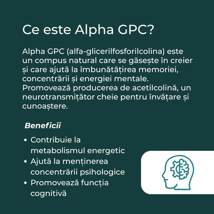 ce este alpha gpc