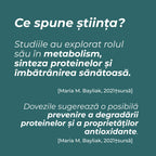 Calcium alpha-ketoglutarate (Ca-AKG)