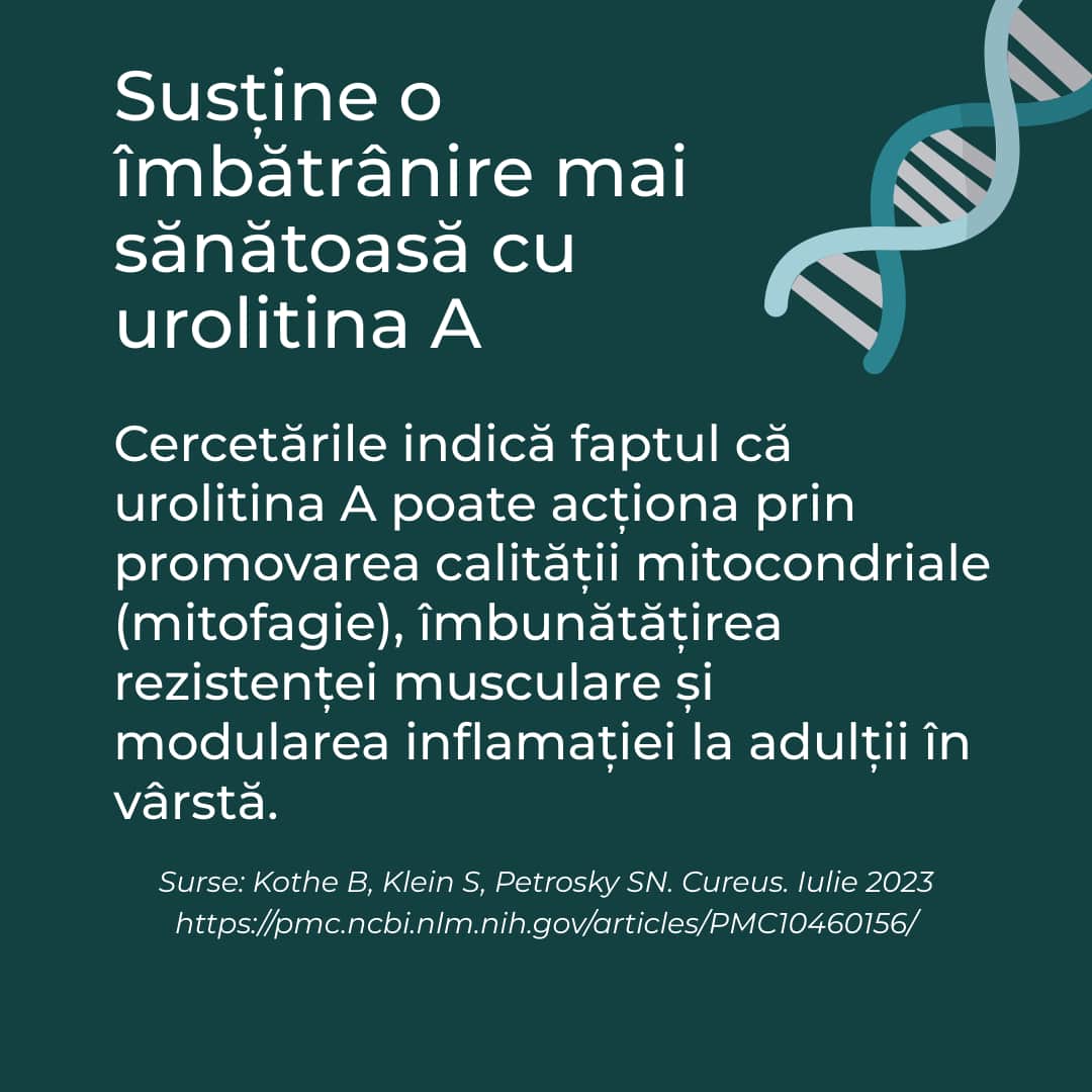 urolitina
