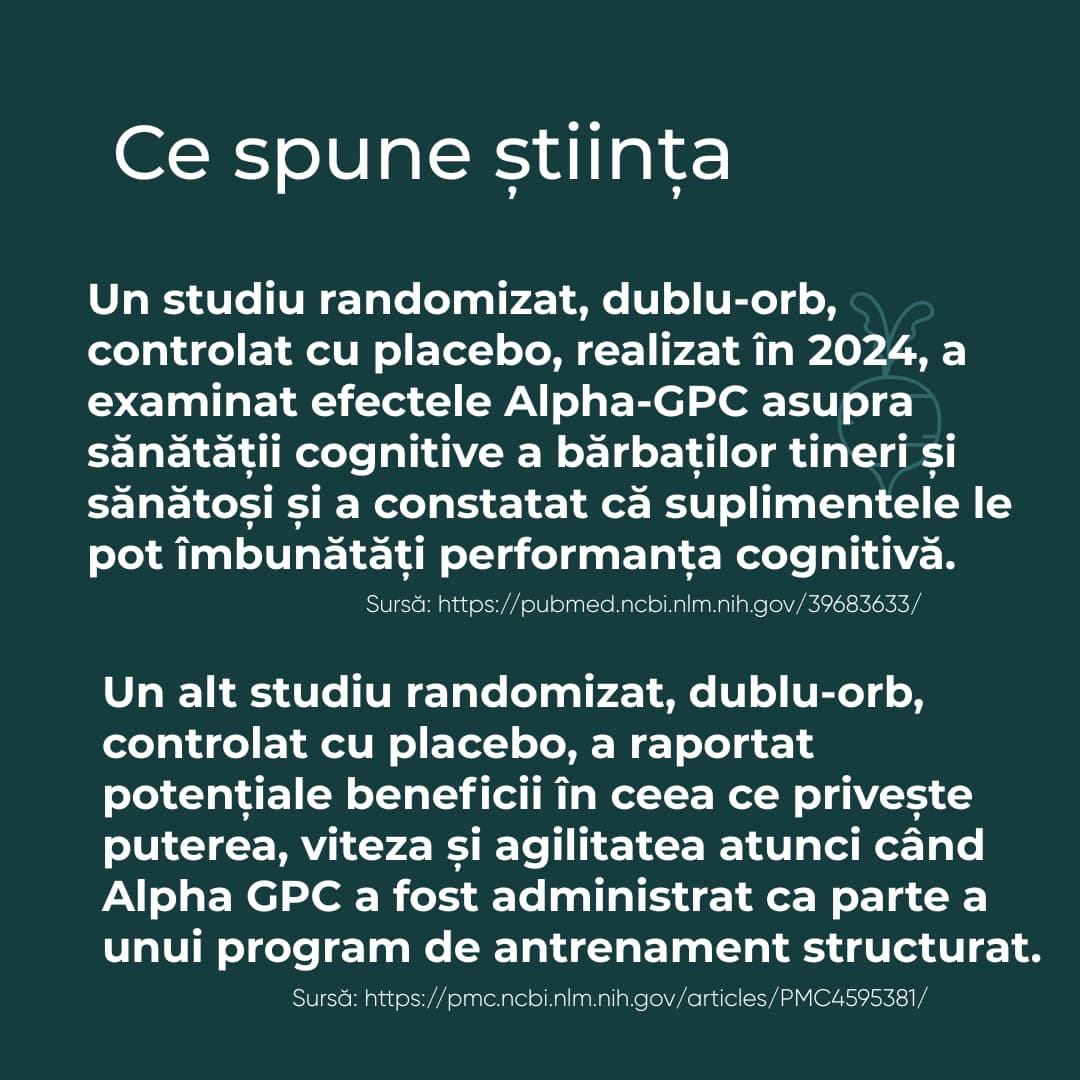 alpha gpc ce este