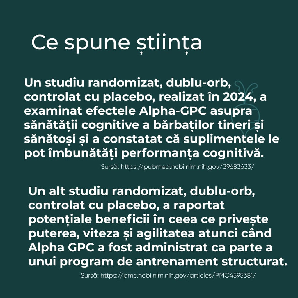 alpha gpc ce este