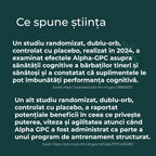 alpha gpc ce este