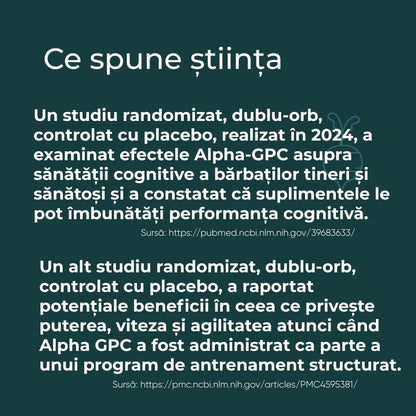alpha gpc ce este