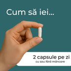 Calcium alpha-ketoglutarate (Ca-AKG)