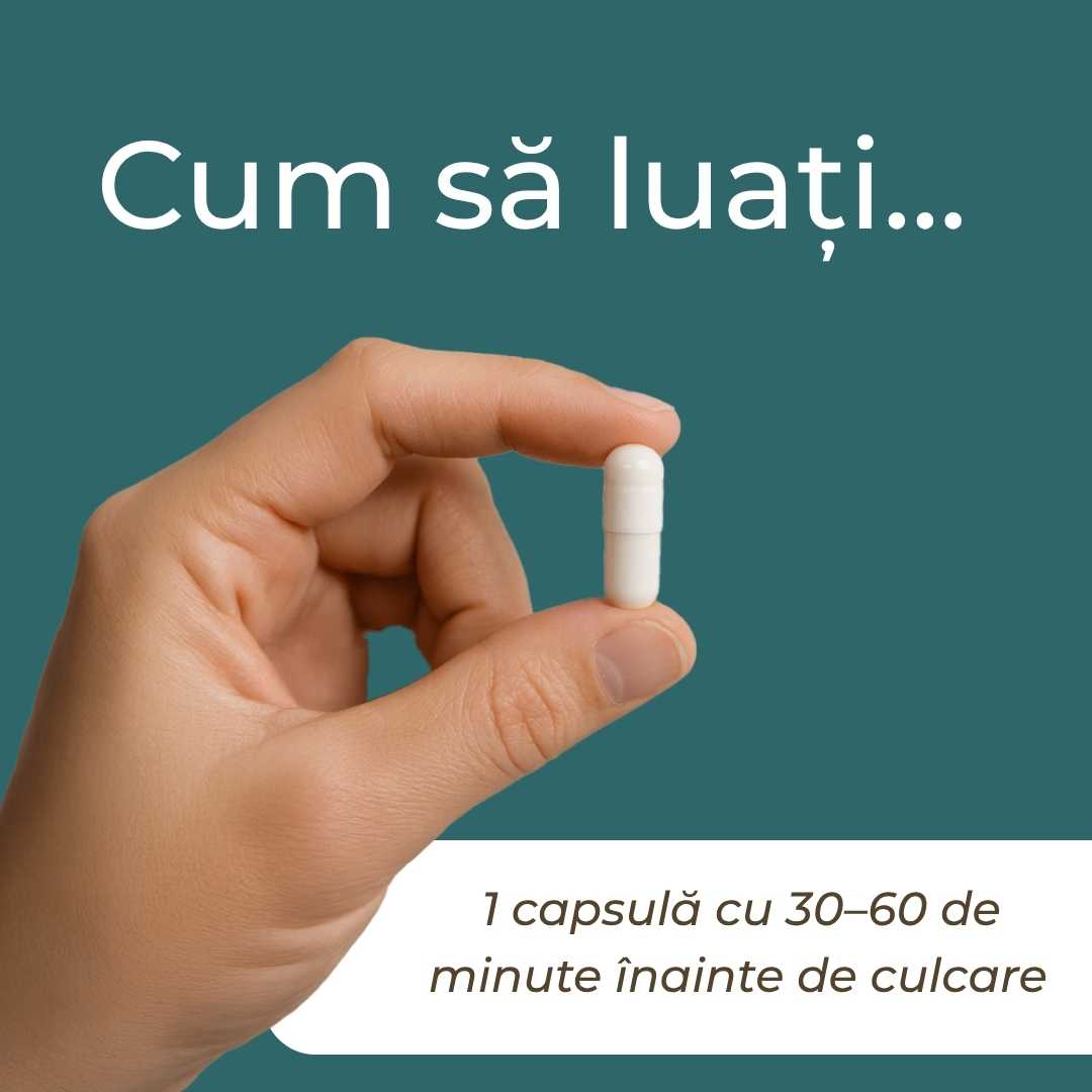apigenin supplement