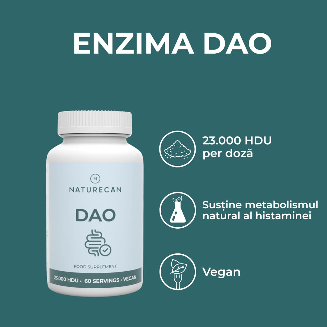 enizma dao