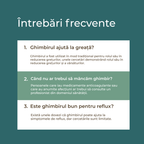 ghimbir bio