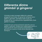 ghimbir capsule