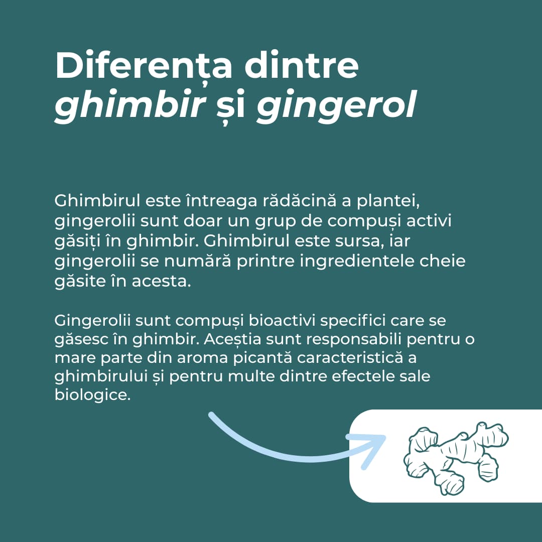ghimbir capsule