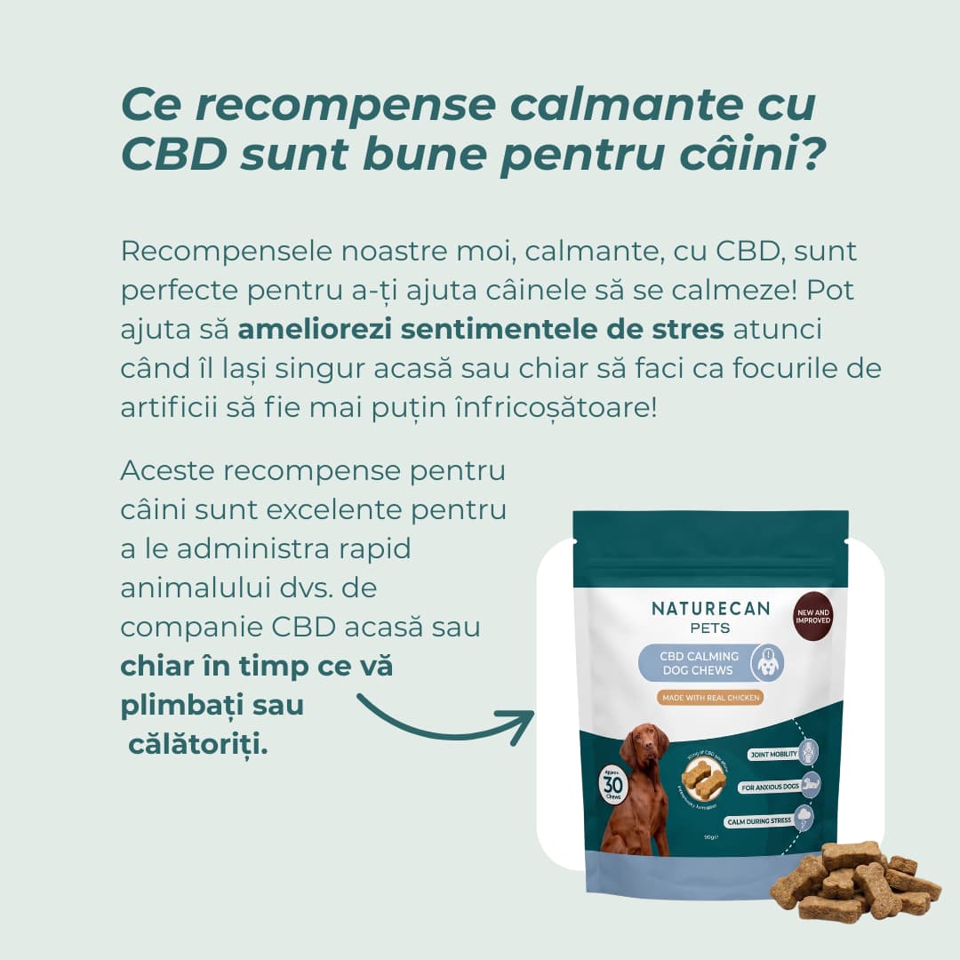 Recompense CBD Calmantă Pentru Câini