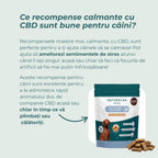 Recompense CBD Calmantă Pentru Câini