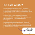 reishi