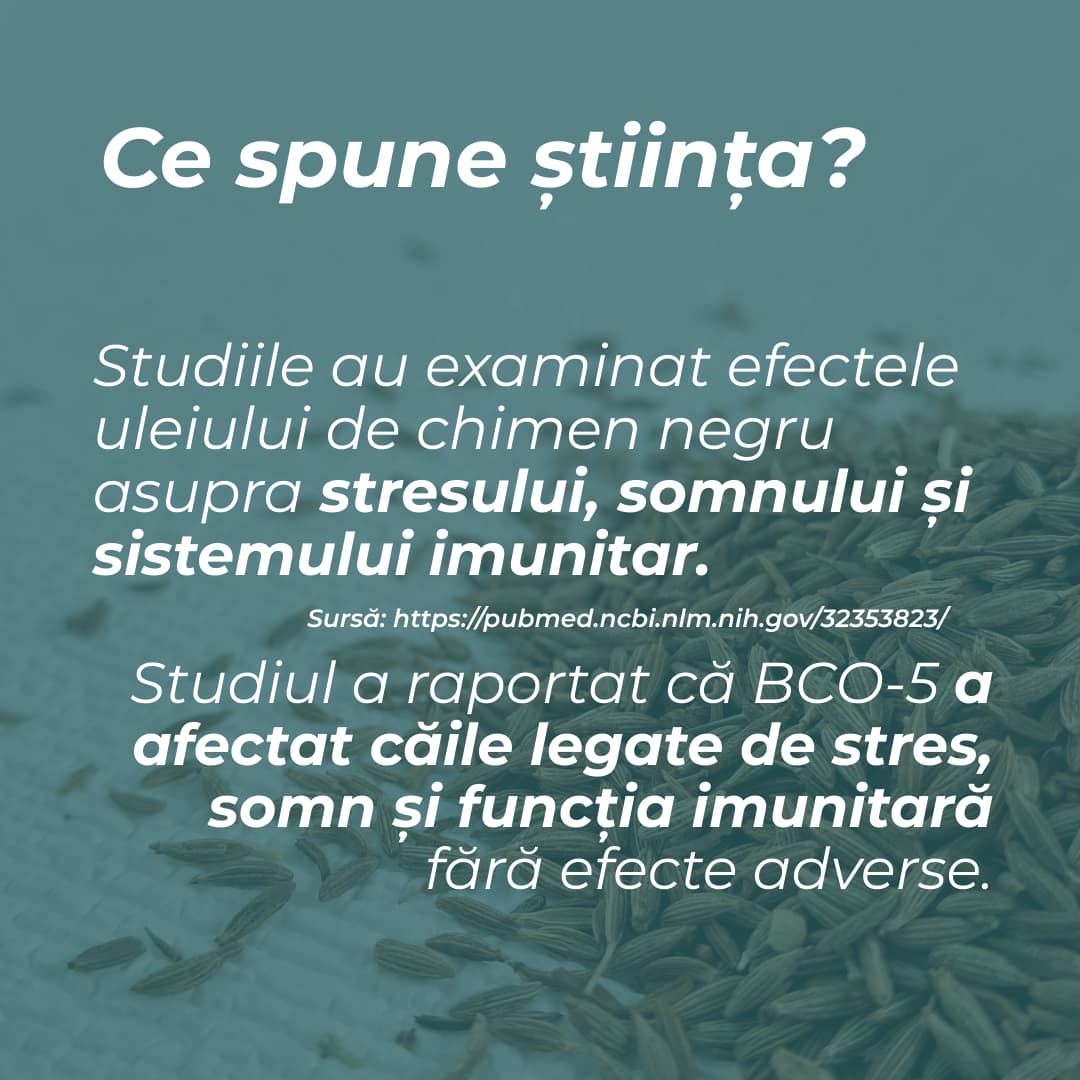 capsule chimen negru