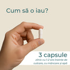 L-treonat de magneziu ce este