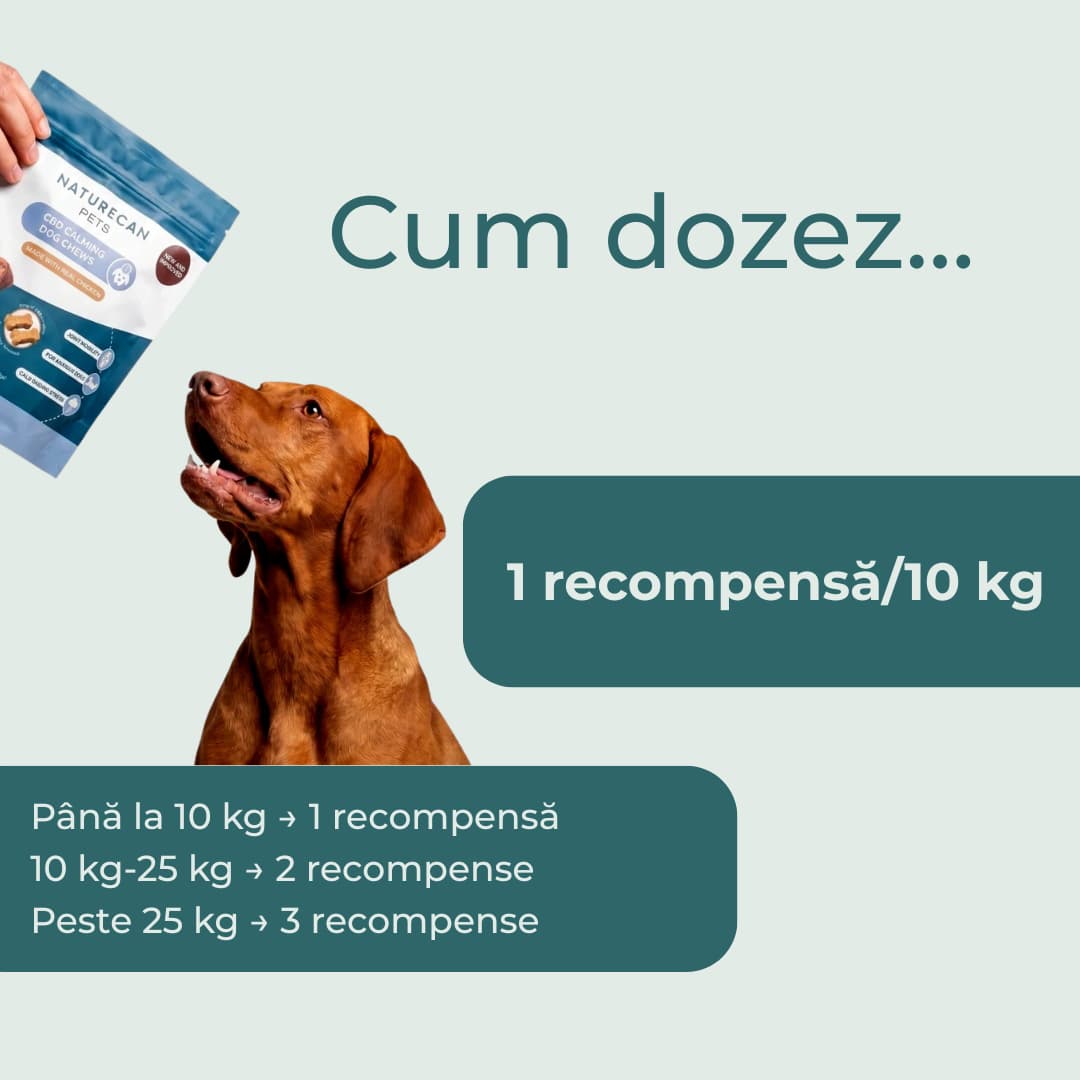 Recompense CBD Calmantă Pentru Câini