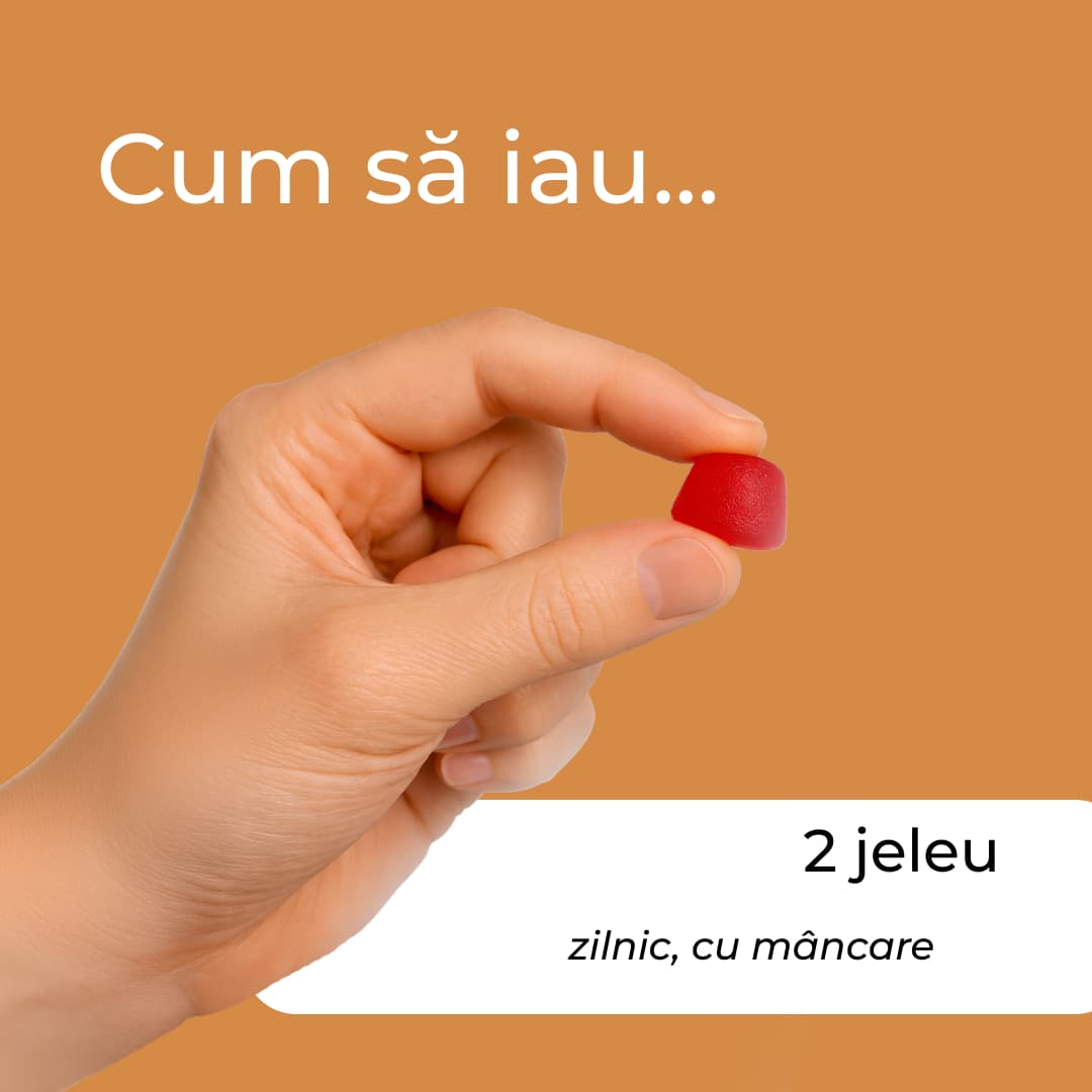 ganoderma jeleu