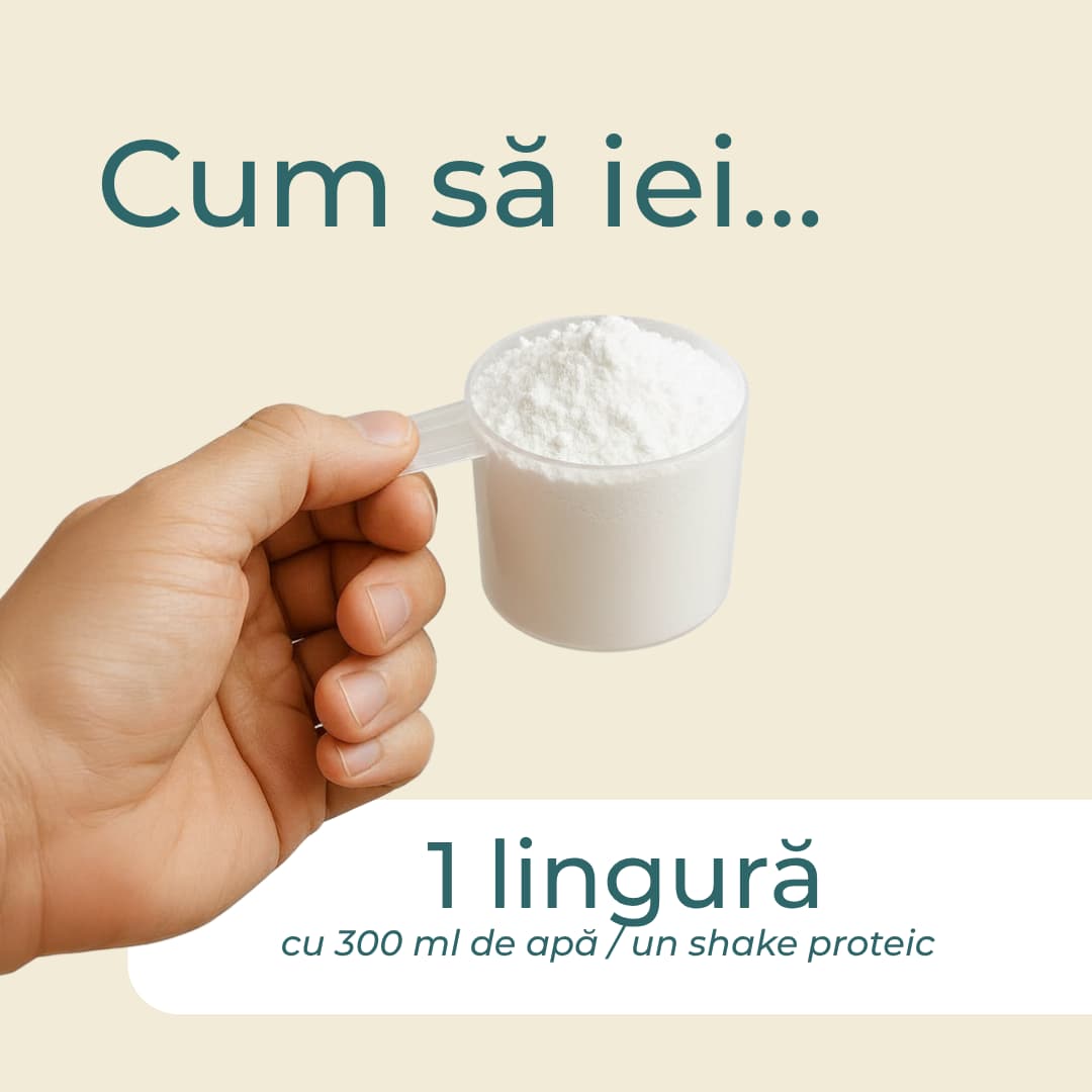 proteina din albus de ou