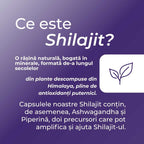 Shilajit Capsule