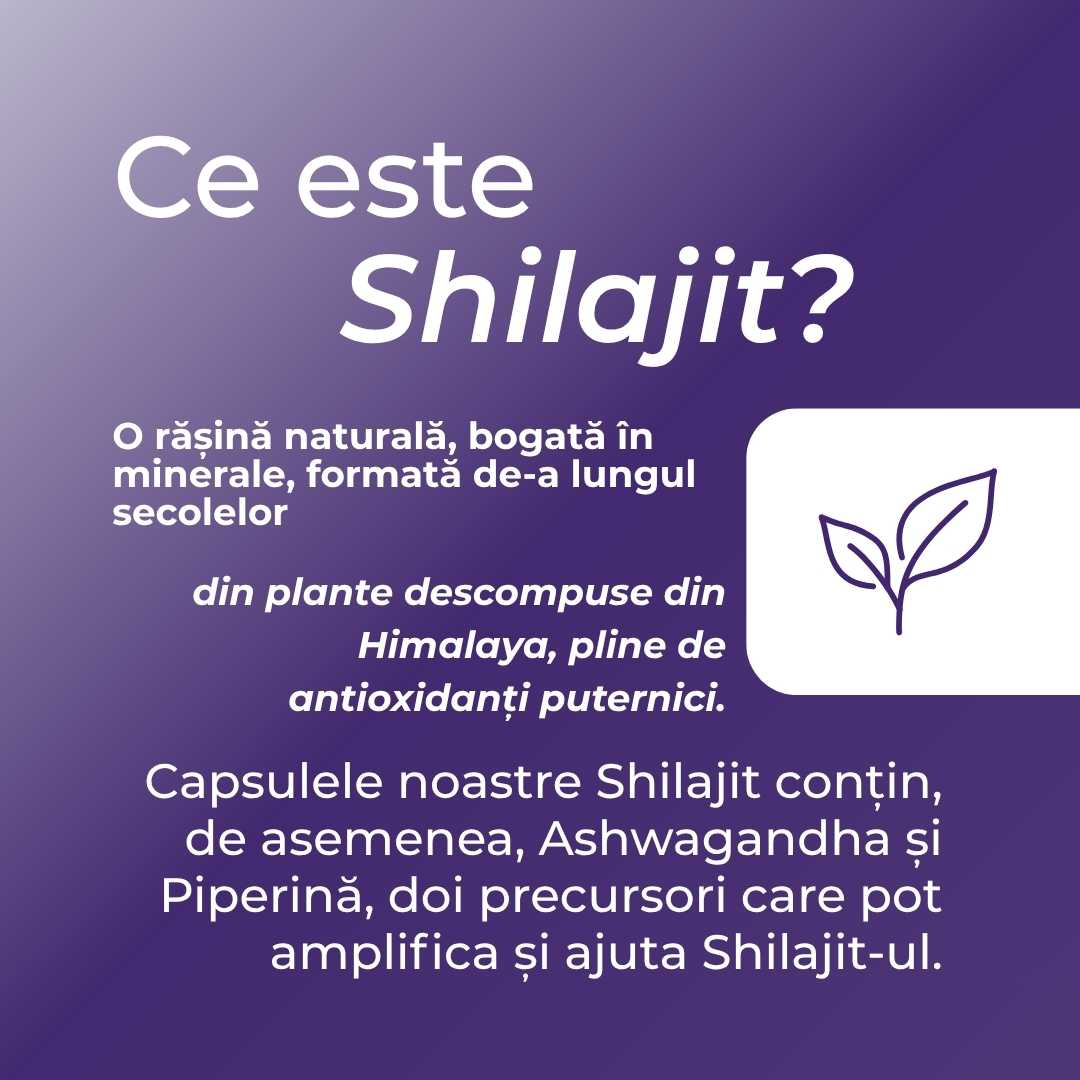 Shilajit Capsule