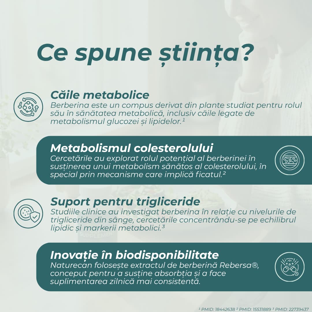 la ce este bun berberina