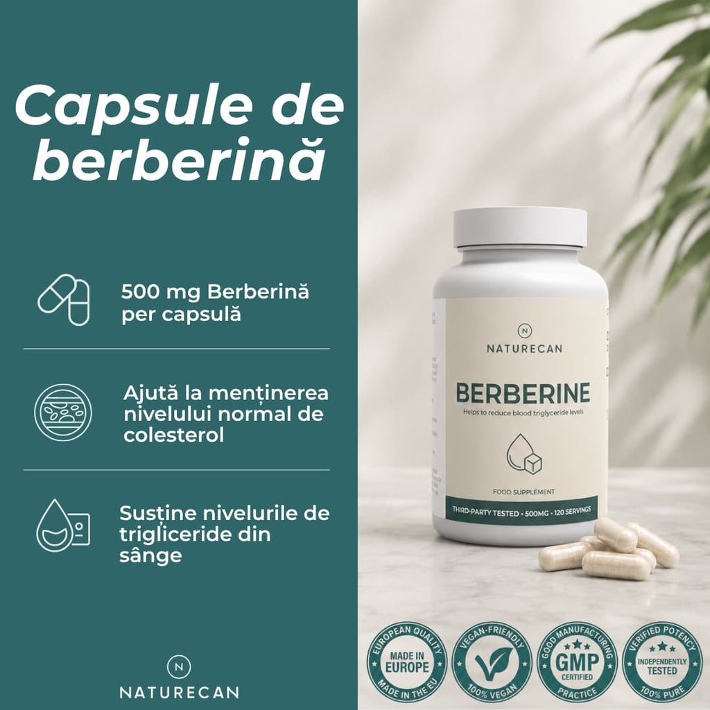 berberina ce este