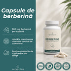 berberina ce este