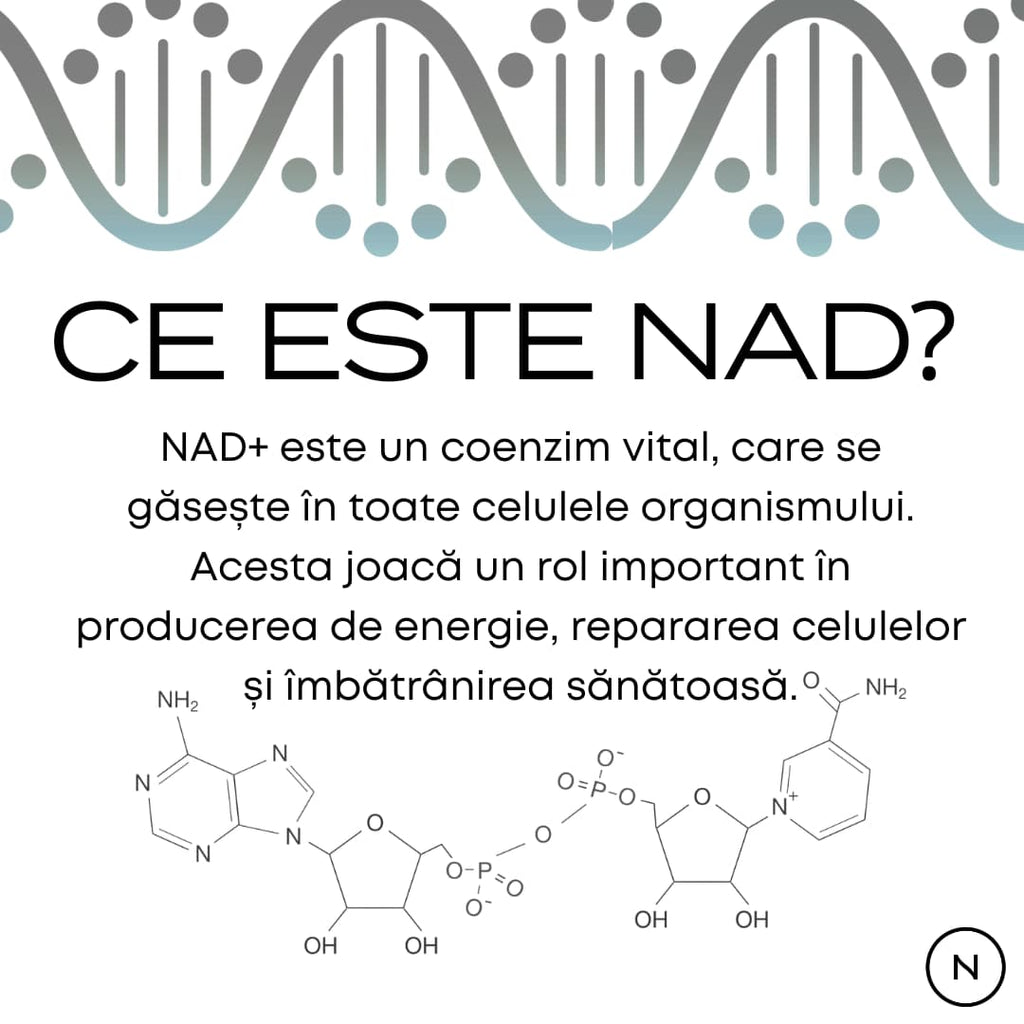 nad+