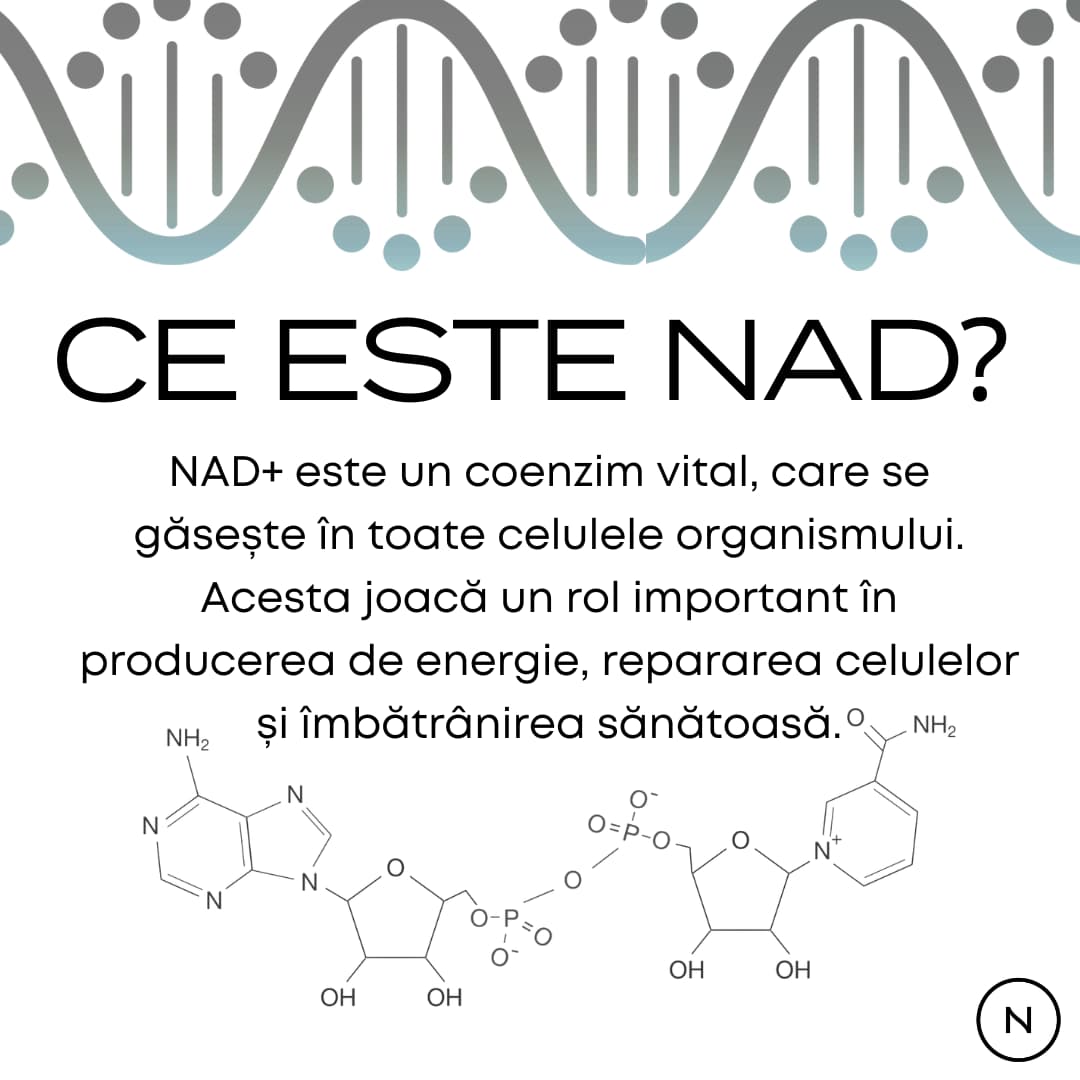 nad+