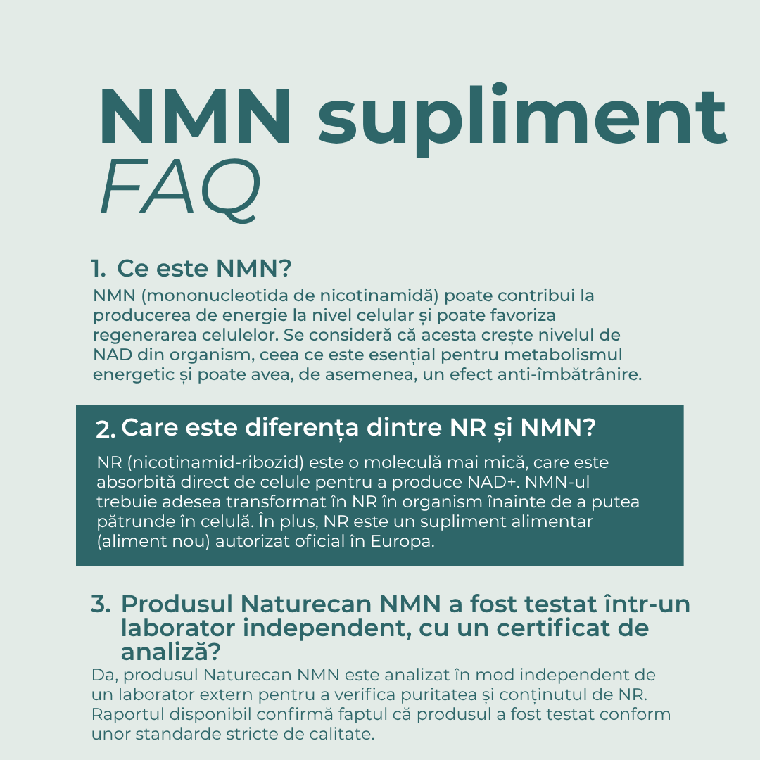 nmn forum