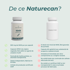 nmn capsula